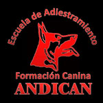 Escuela Andican: Adiestramiento, Formación y Residencia Canina