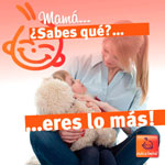 Logo El Nido Del Bebe